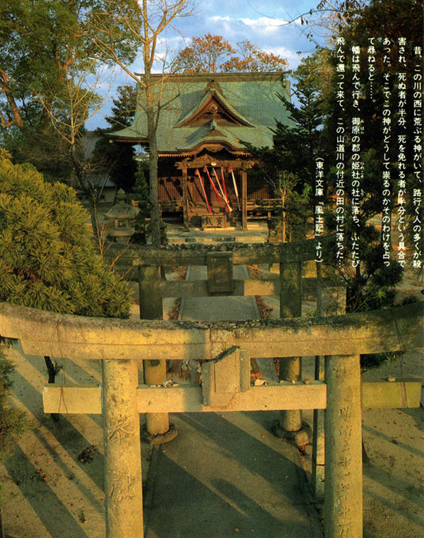 大崎ヒメコソ神社